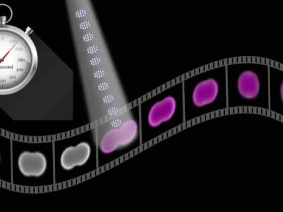 Spatial and temporal probing of matter at the natural timescale of electrons