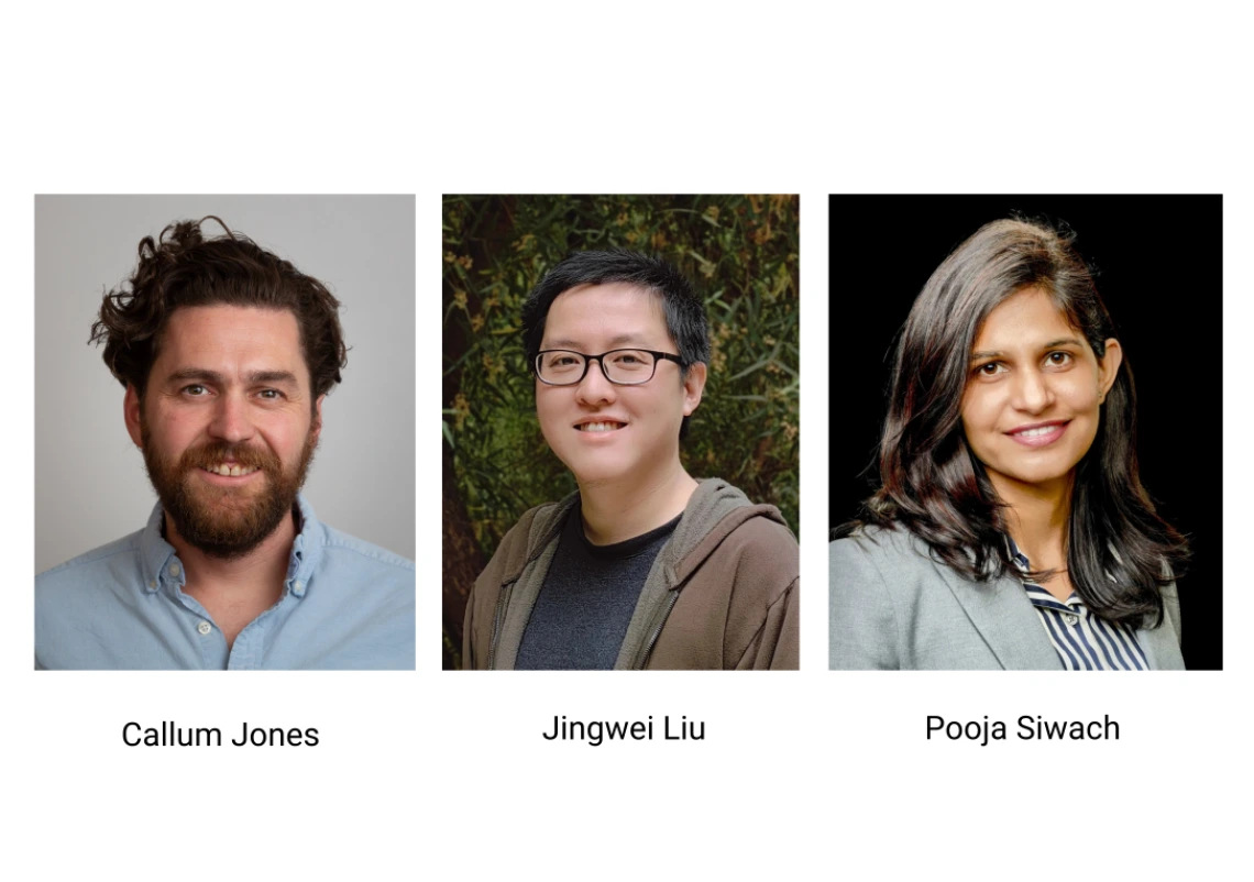 Callum Jones, Jingwei Liu, Pooja Siwach